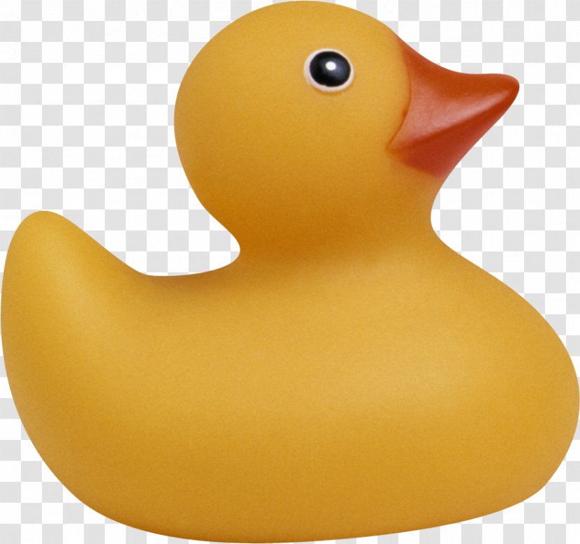 Rubber Duck Toy - Ducks Geese And Swans Transparent PNG