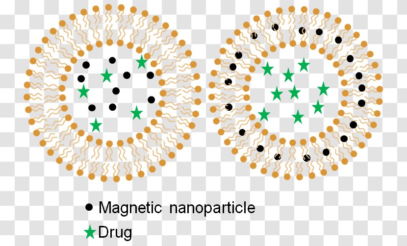 Drug Delivery Hyperthermie Magnétique Research Hyperthermia Therapy Magnetic Nanoparticles - Drug-delivery Transparent PNG