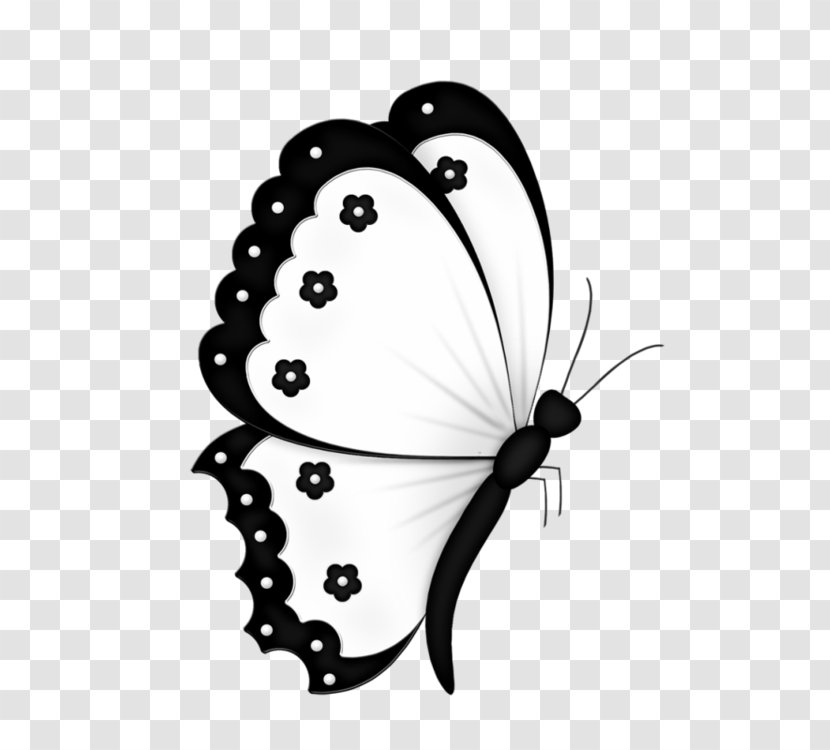 Butterfly Butterflies In Colour Greta Oto Clip Art - Pollinator - A Transparent PNG