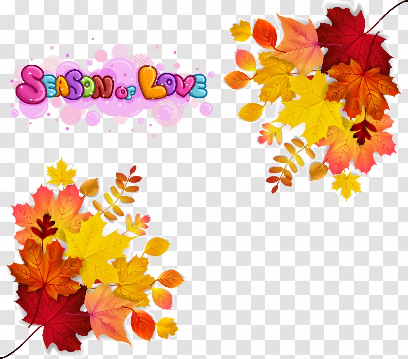 Autumn Leaf Color Euclidean Vector Stock Photography - Flower - Maple Leaves Transparent PNG