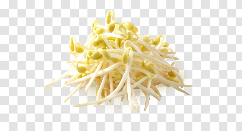 Bean Sprout Food Vegetable Seasoning Refrigeration Transparent PNG