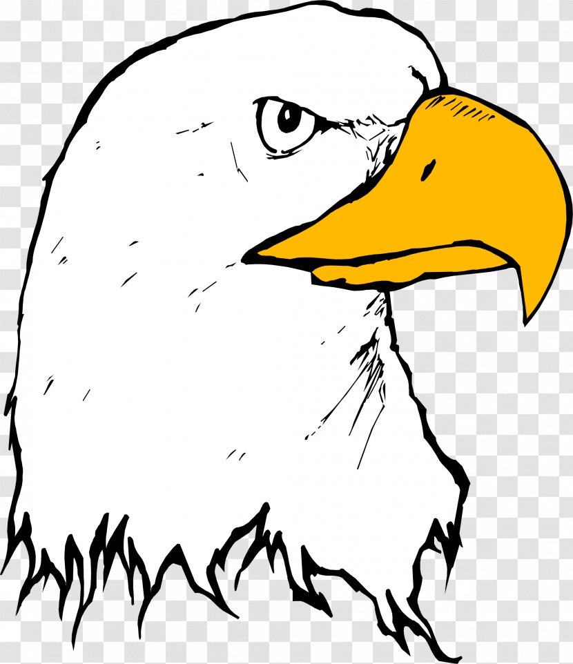 Bald Eagle Beak Clip Art - Wing - Clipart Transparent PNG