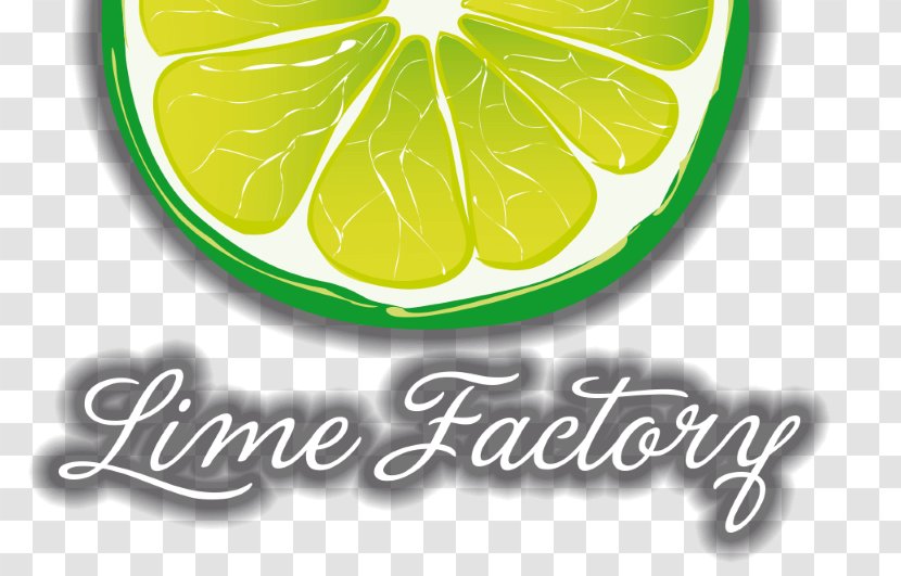 Key Lime Lemon Logo Citric Acid Transparent PNG