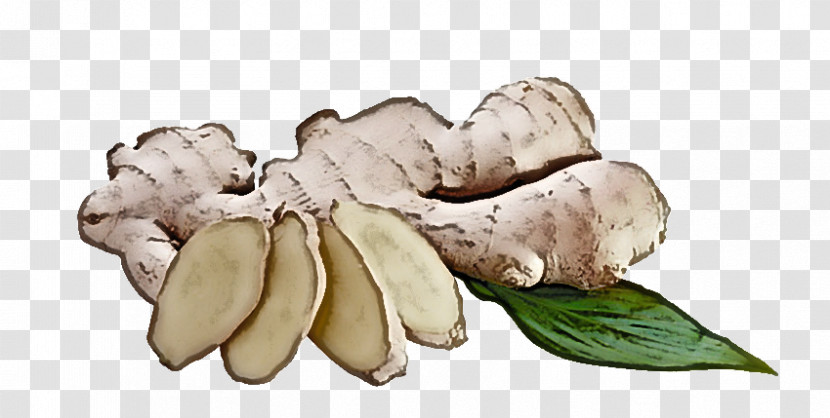 Tuber Ingredient Fruit Transparent PNG