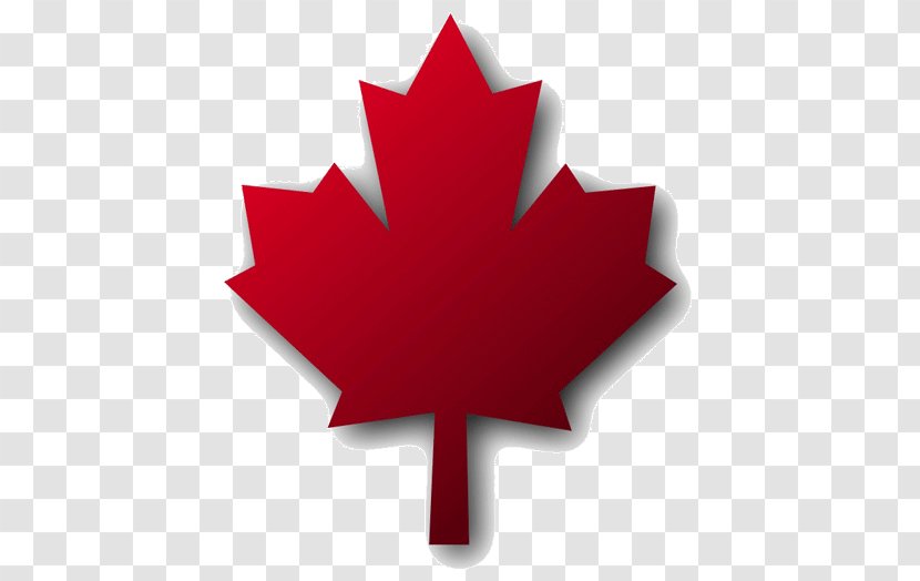 Flag Of Canada Maple Leaf - Flowering Plant Transparent PNG