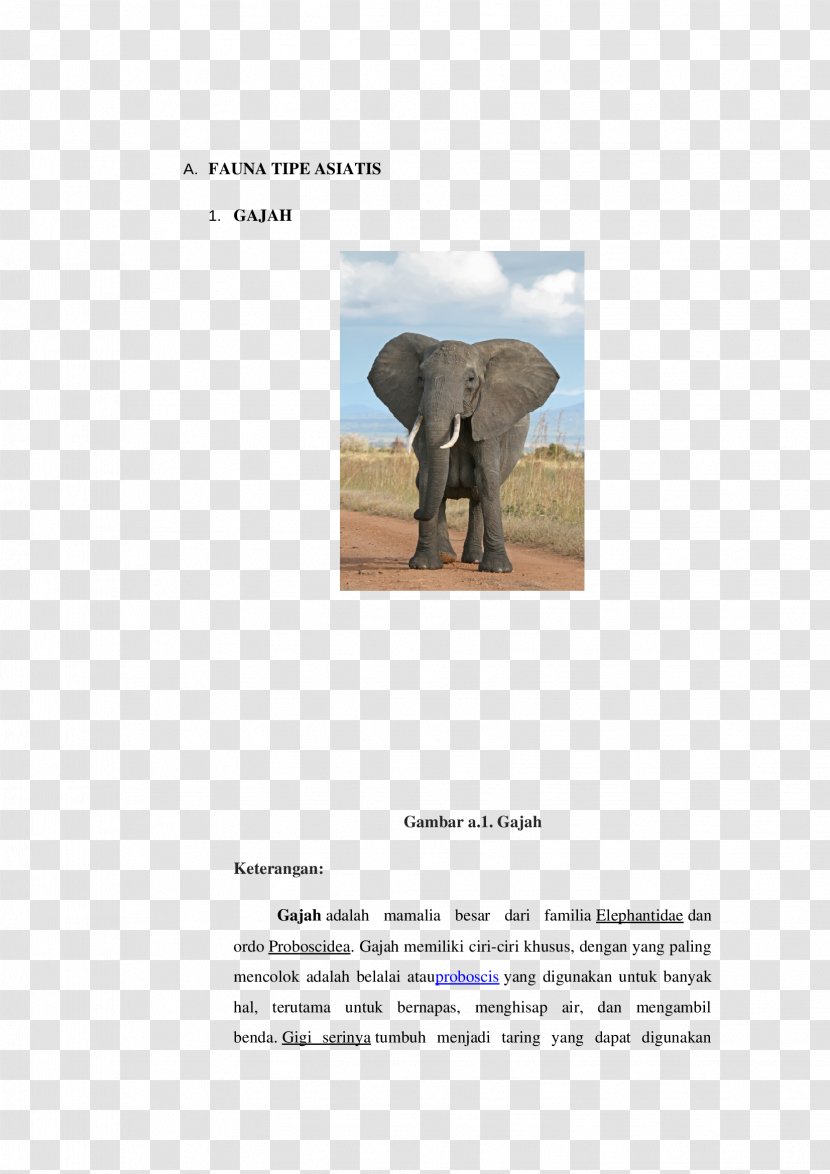 Indian Elephant African Atomic Nucleus Conceptual Physics Surface-area-to-volume Ratio - Tipe Transparent PNG