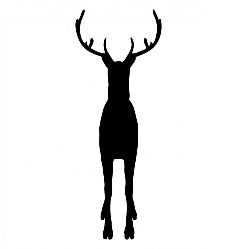 Reindeer Wildlife Game Antler - Mammal Transparent PNG