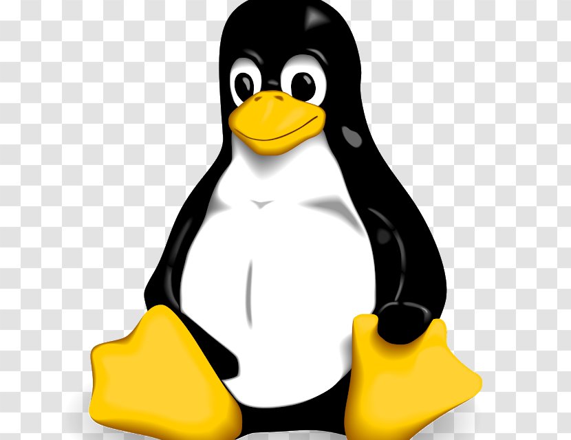 Tux VectorLinux - King Penguin - Linux Transparent PNG