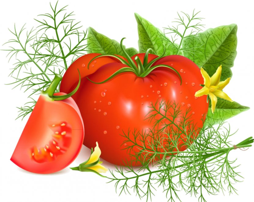 Tomato Soup Ketchup Graphic Design Food - Bush Transparent PNG