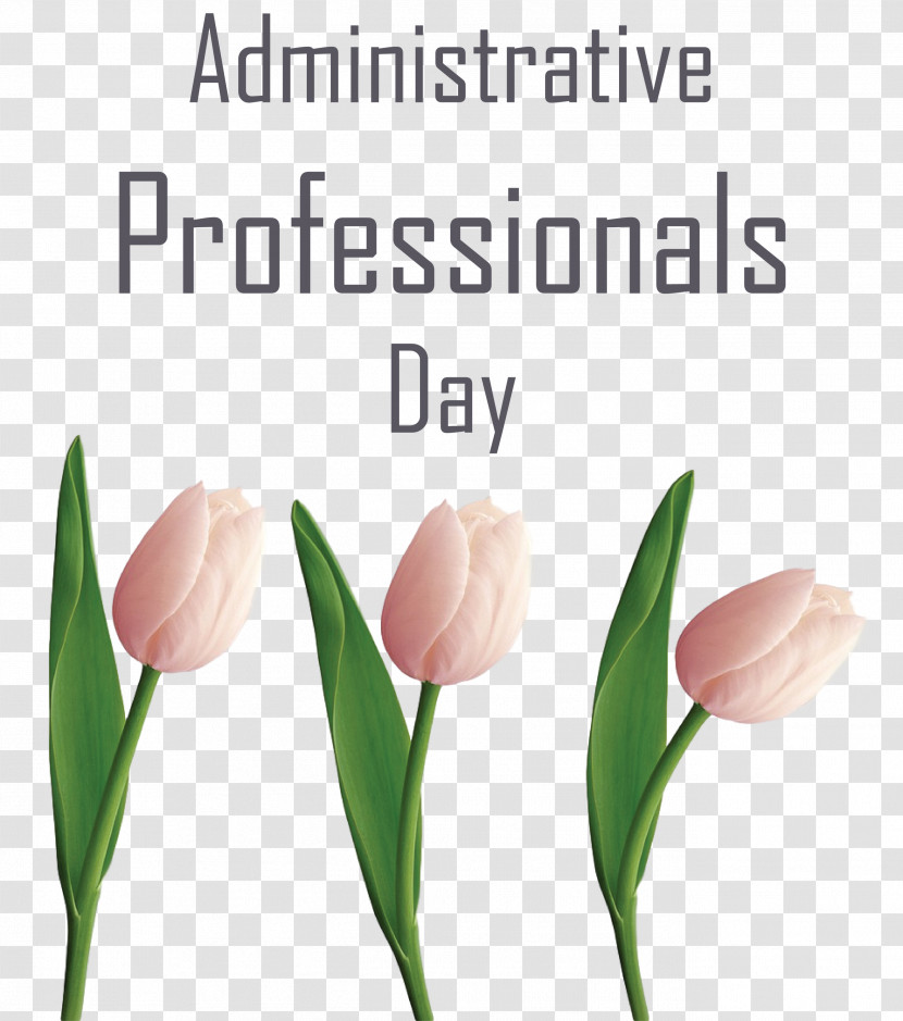 Administrative Professionals Day Secretaries Day Admin Day Transparent PNG