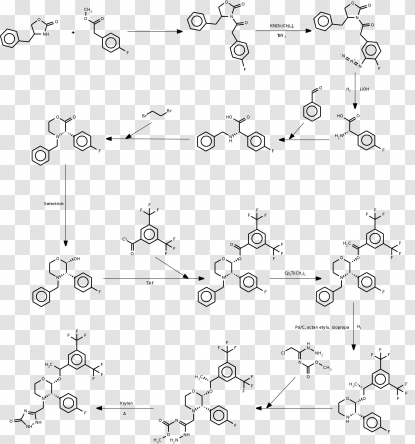 Aprepitant Chemical Synthesis CYP3A4 Organic Chemistry Sintesis - Wikimedia Foundation - Drawing Transparent PNG