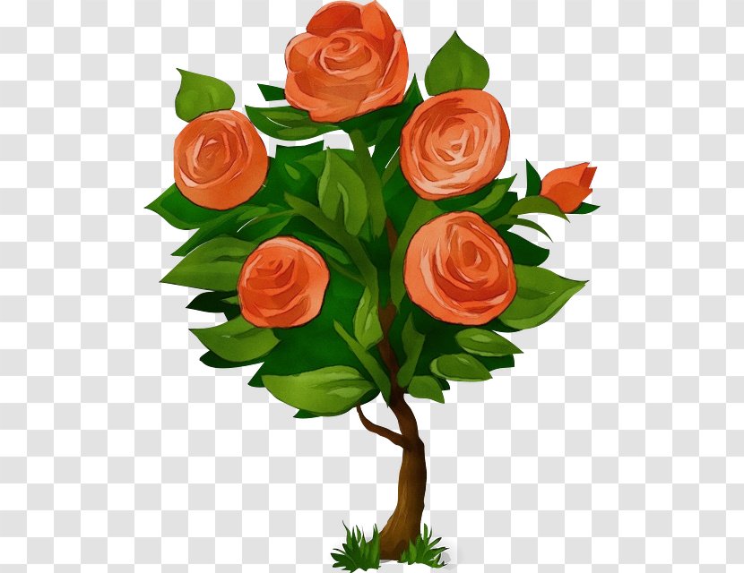 Clip Art Rose Shrub Free Content Image - Garden Roses - Floribunda Transparent PNG