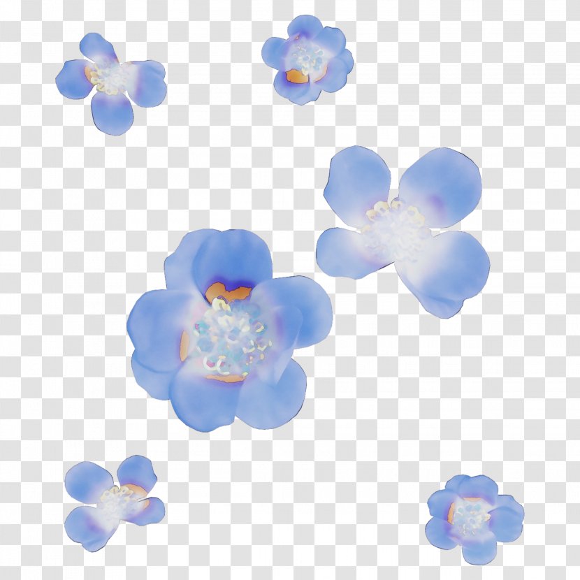 Blue Petal Flower Plant Borage Family Transparent PNG