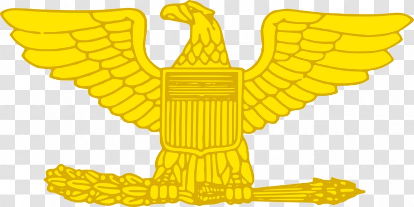 Colonel Captain Military Rank Major United States Army Officer Insignia - Fictional Character - American Eagle Transparent PNG