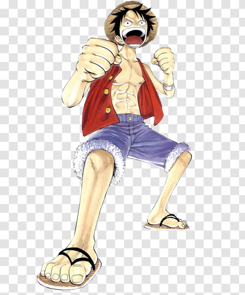 Monkey D. Luffy Roronoa Zoro The Art Of Shonen Jump: One Piece Color Walk, Volume 1 Tony Chopper Brook - Frame - D.Luffy Transparent PNG
