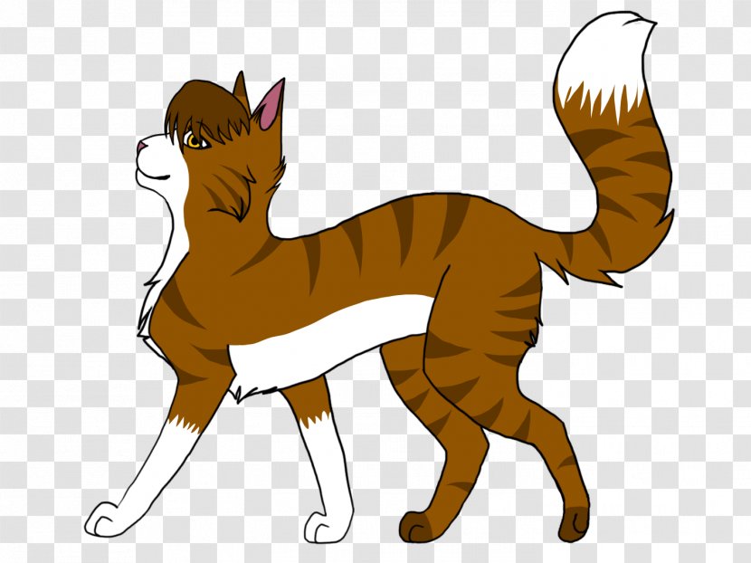 Cat Horse Mammal Animal Carnivora - Fauna - Late Night Transparent PNG