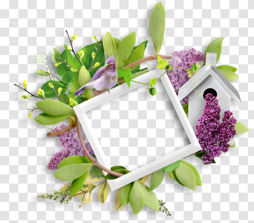 .az Mother's Day - Flower Arranging - Cut Flowers Transparent PNG