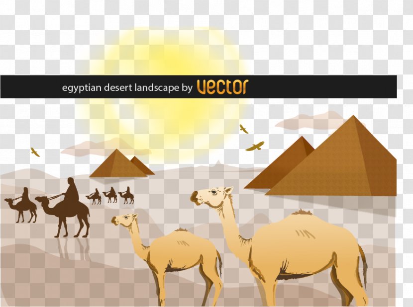 Sahara Desert Landscape Clip Art - Livestock Transparent PNG
