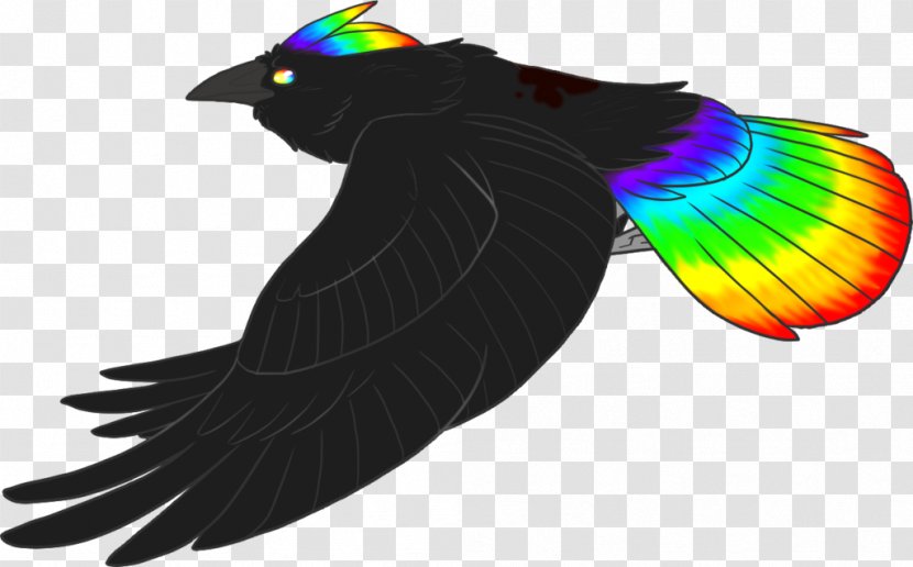 Cat Feather Beak Transparent PNG