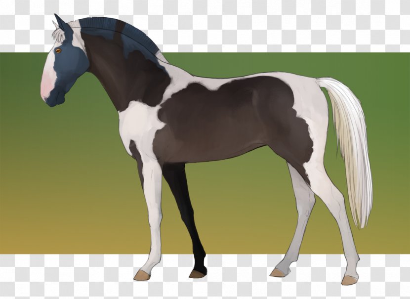 Stallion Mustang Foal Mare Colt - Horse Harnesses Transparent PNG
