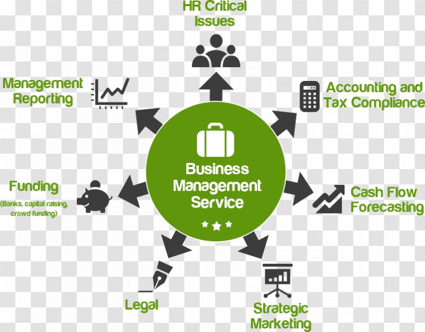 Management Business Service Accounting Outsourcing - Corporate Governance - Usiness Administration And Transparent PNG