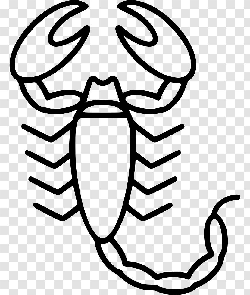 Octopus Oyster Clip Art - Line - Cephalopod Transparent PNG