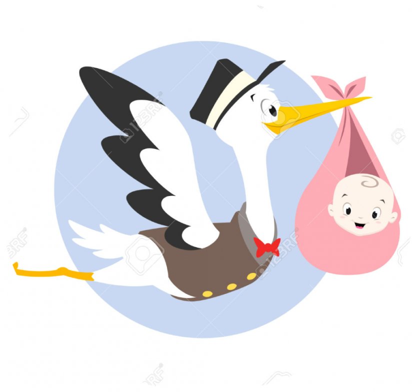 Infant Stork Clip Art - Cartoon Transparent PNG