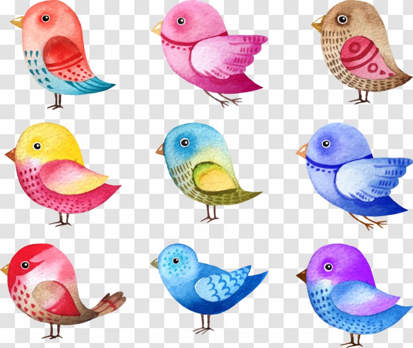Bird Illustrations Drawing - Feather - Vector Color Cute Birds Transparent PNG
