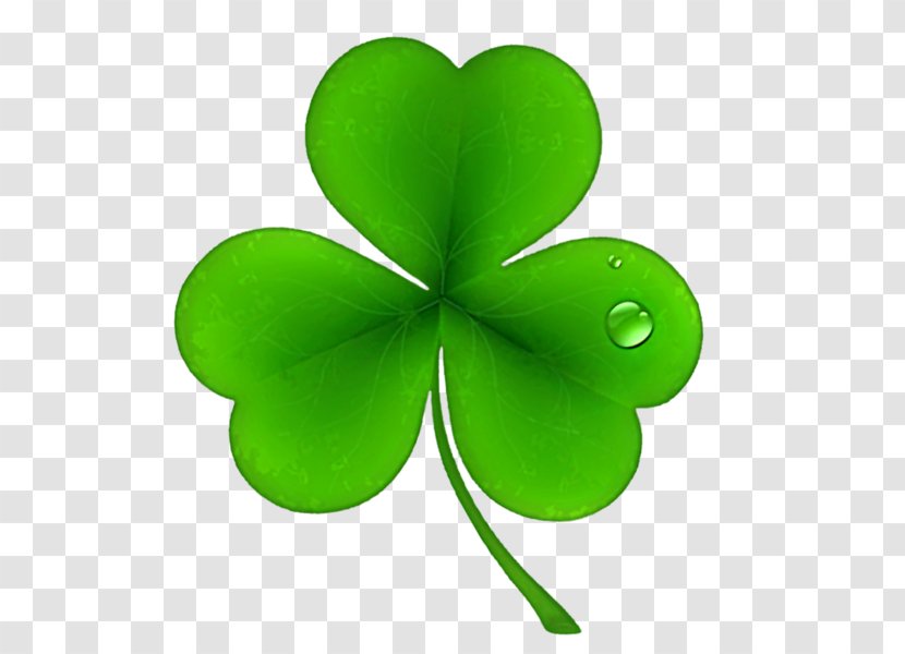 Ireland Saint Patrick's Day National ShamrockFest Public Holiday - Shamrock - Patrick Transparent PNG