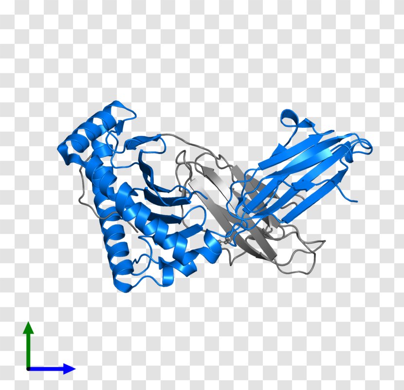 Brand Line Clip Art - Logo Transparent PNG