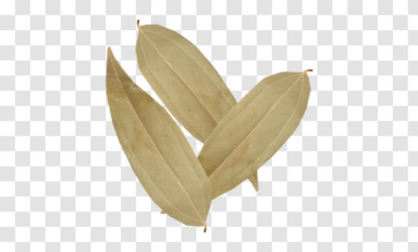 Leaf Commodity Transparent PNG