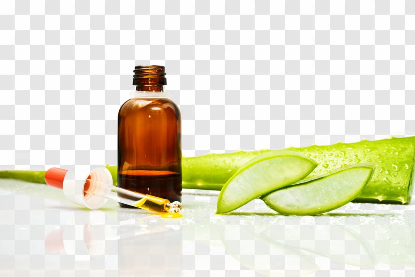 Aloe Vera Skin Plant Sunburn Gel - Topical Medication - Sheet Transparent PNG