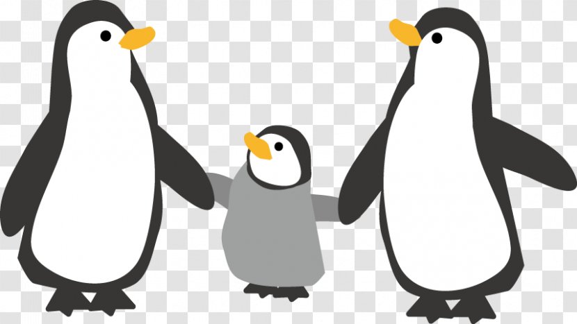 Emperor Penguin Illustration Southern Rockhopper King - Grapekun Transparent PNG