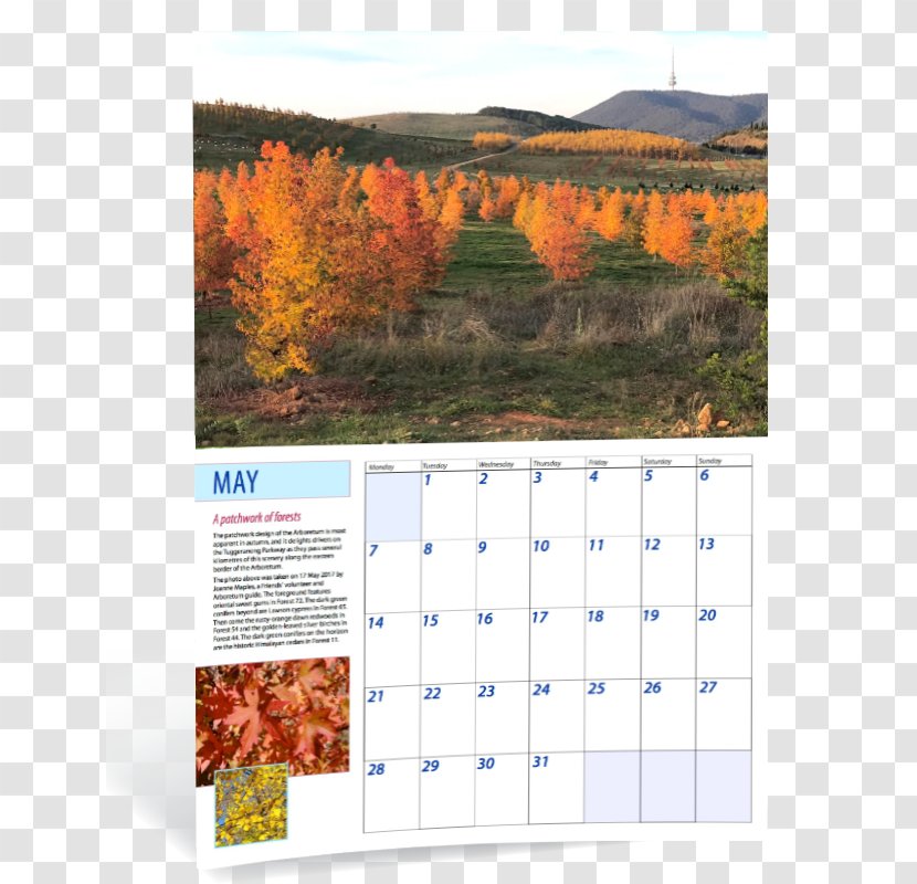 Calendar - Complete Book Of Bonsai Transparent PNG