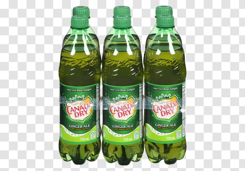 Fizzy Drinks Ginger Ale Sprite Carbonated Water Coca-Cola Transparent PNG