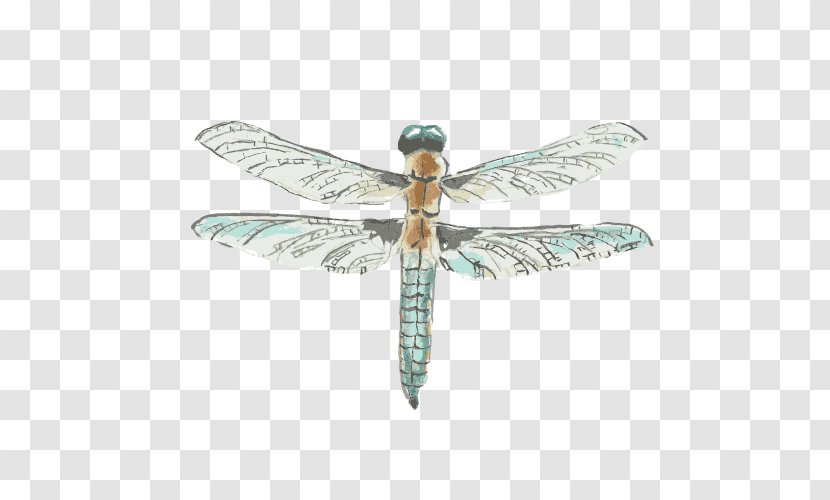 Dragonfly Drawing Watercolor Painting - Fundal Transparent PNG