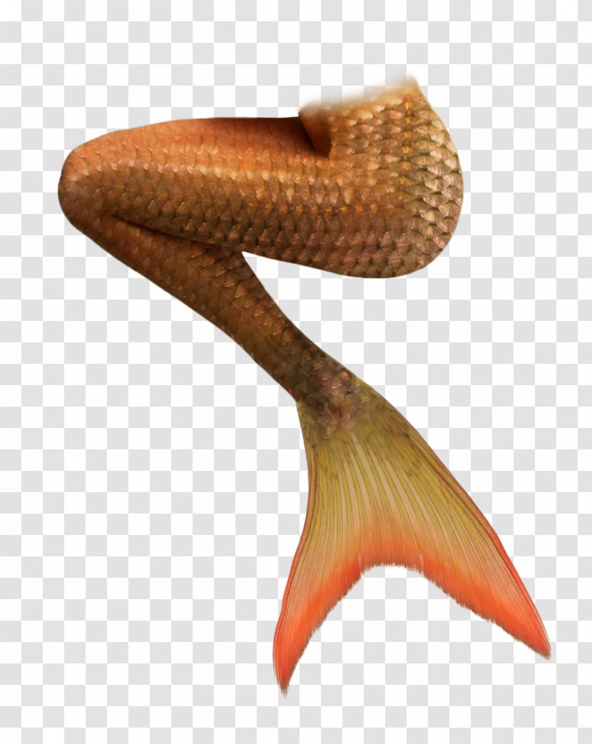 Mermaid Tail Siren - Legend Transparent PNG