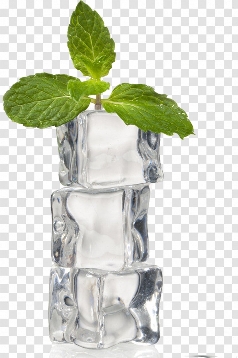 Ice Cube Mint - Glass Bottle - Ice,ice,iceberg,Freeze Transparent PNG