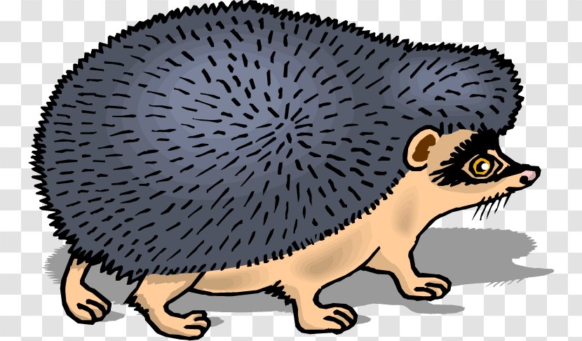 Domesticated Hedgehog Porcupine European Drawing Clip Art - Fur - Woodland Hedgehogs Transparent PNG
