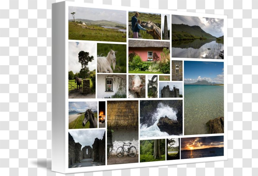 Ireland Window Picture Frames Collage Tourism - Photographic Paper - Banner Transparent PNG