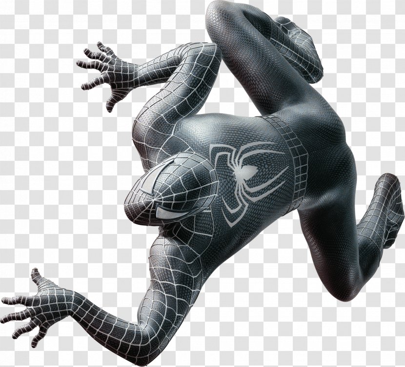 Spider-Man Photography Homo Sapiens Clip Art - Grey - Spider Woman Transparent PNG