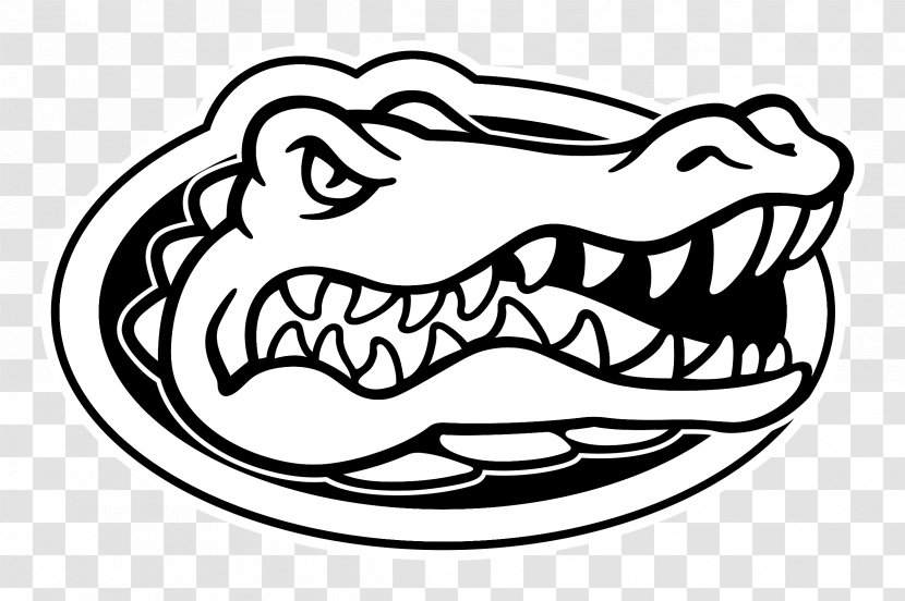Florida Gators Football Alligator Coloring Book Women's Basketball Soccer - University Vector Transparent PNG