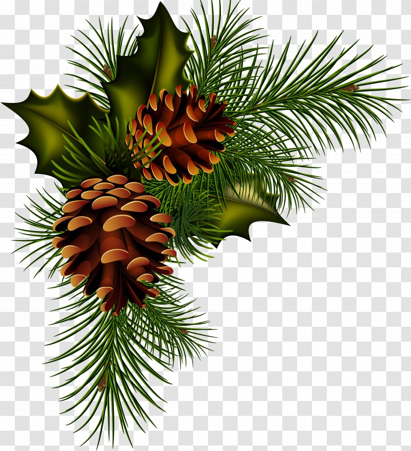 Conifer Cone Pine Christmas Clip Art - Photography - Artichokes Transparent PNG
