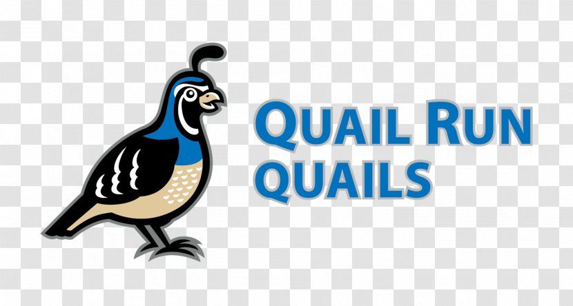 Quail Run Behavioral Health West Avenue Bird Clip Art - Elementary School Transparent PNG