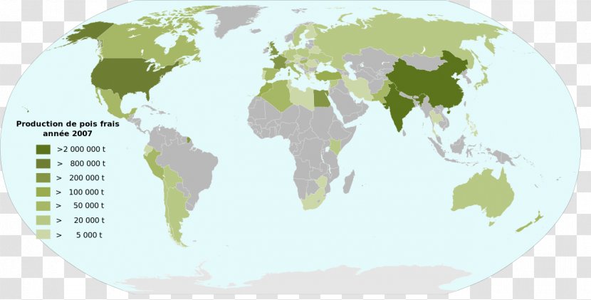 United States World Map - Vector Transparent PNG