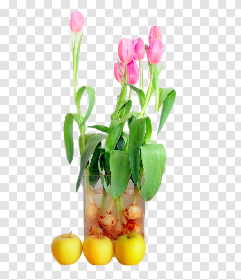 Tulip Saying Flower - Floristry - A Handful Of Tulips Transparent PNG