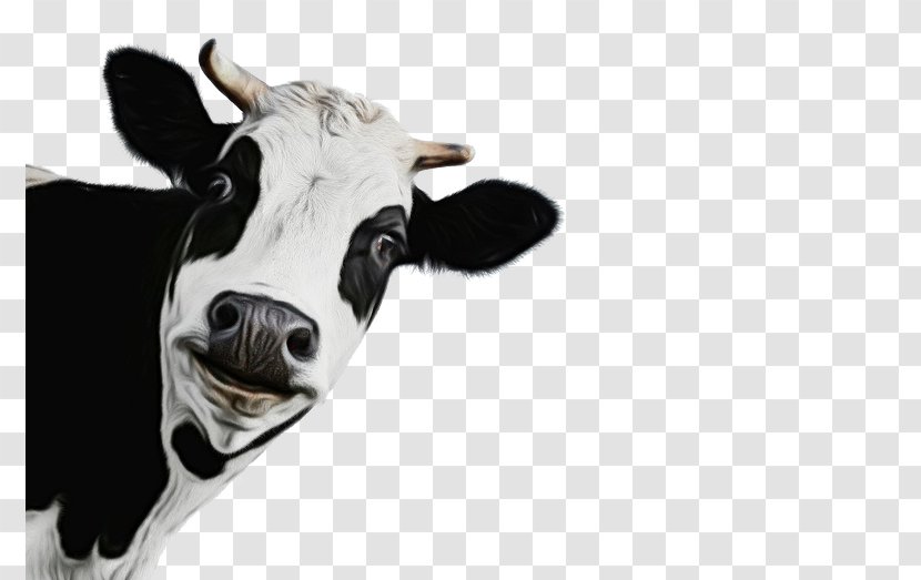 Watercolor Party - Agriculture - Blackandwhite Livestock Transparent PNG
