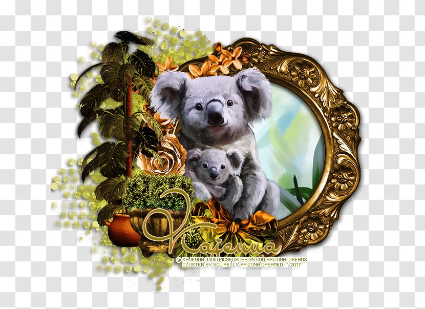 Koala Bear Dog Breed Puppy - Marsupial Transparent PNG