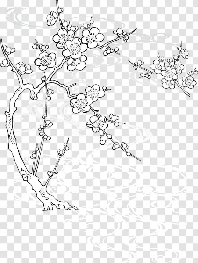Paper Drawing Cherry Blossom Line Art - Monochrome Photography - Creative Ink Plum Snow Transparent PNG