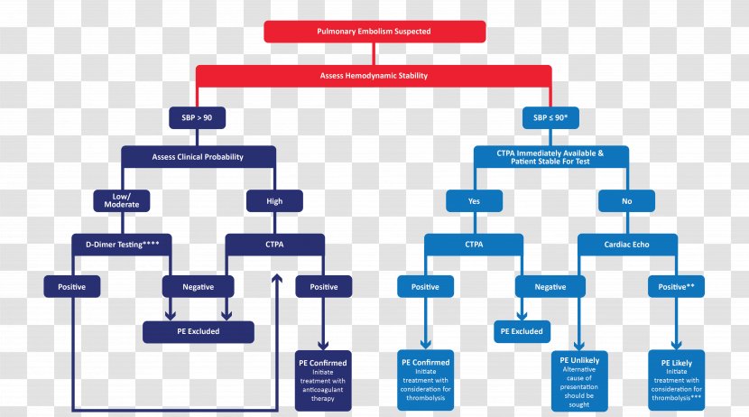 Brand Organization Diagram - Design Transparent PNG